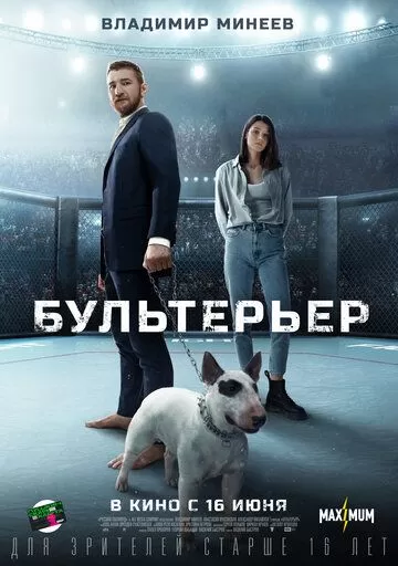 Бультерьер (2021)