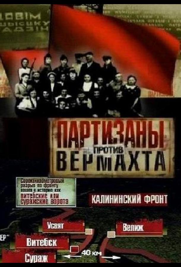 Партизаны против Вермахта (2010) 1 сезон