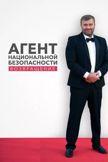 Агент национальной безопасности. Возвращение (2019) 1 сезон